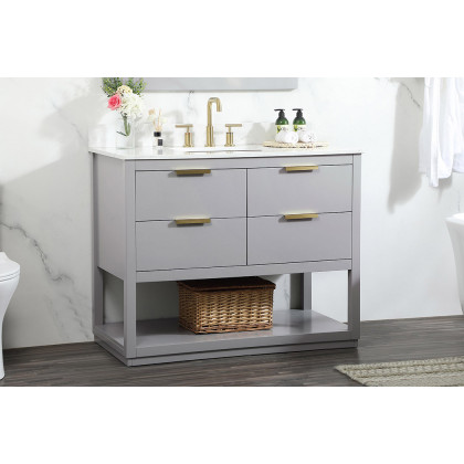 Elegant Bathroom Vanity - Gray (VF19242GR-BS)