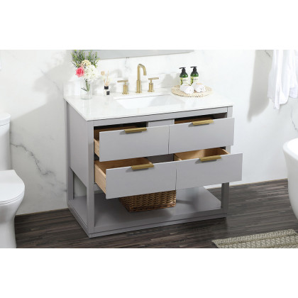 Elegant Bathroom Vanity - Gray (VF19242GR-BS)