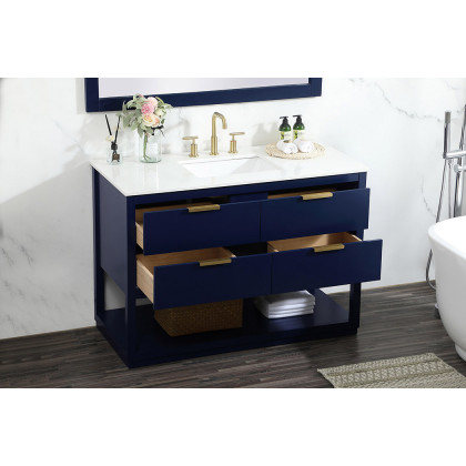 Elegant Bathroom Vanity - Blue (VF19248BL)