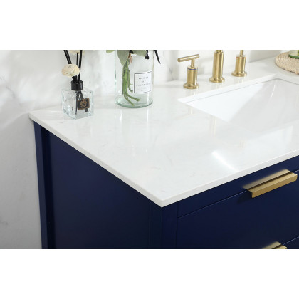 Elegant Bathroom Vanity - Blue (VF19248BL)
