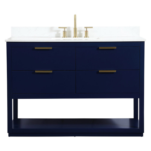 Elegant Bathroom Vanity - Blue (VF19248BL-BS)
