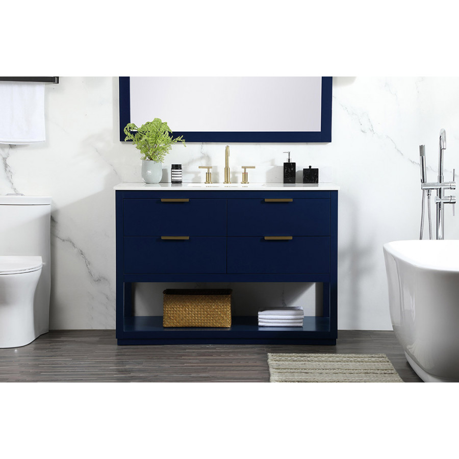 Elegant Bathroom Vanity - Blue (VF19248BL-BS)