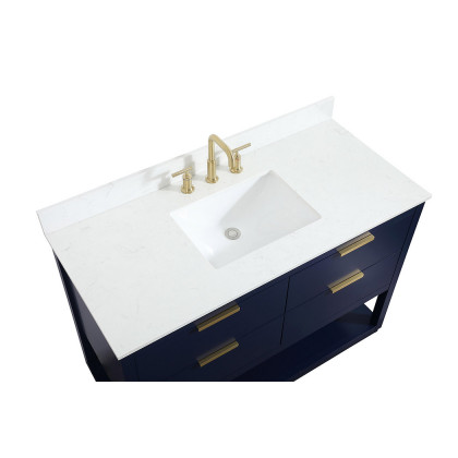 Elegant Bathroom Vanity - Blue (VF19248BL-BS)
