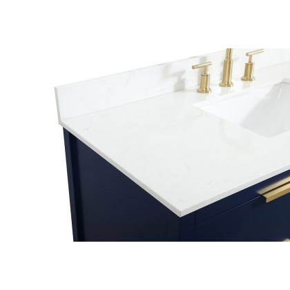 Elegant Bathroom Vanity - Blue (VF19248BL-BS)