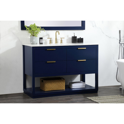 Elegant Bathroom Vanity - Blue (VF19248BL-BS)
