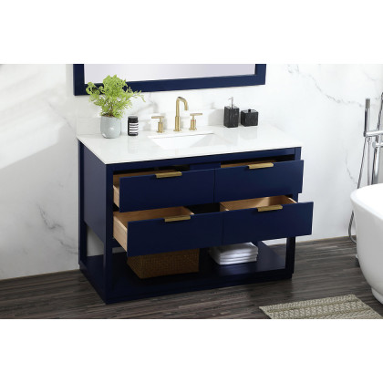 Elegant Bathroom Vanity - Blue (VF19248BL-BS)