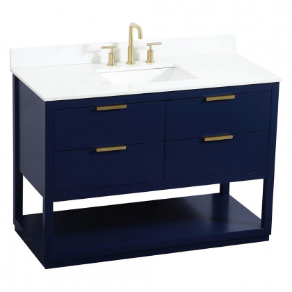 Elegant Bathroom Vanity - Blue (VF19248BL-BS)