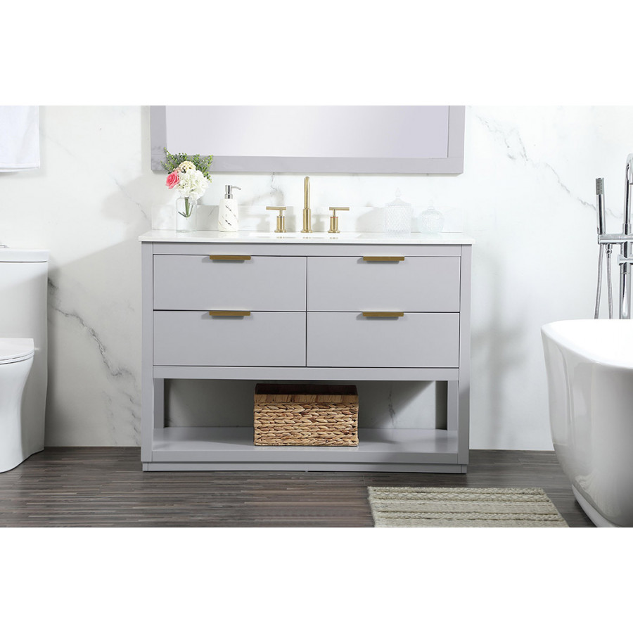 Elegant Bathroom Vanity - Gray (VF19248GR-BS)