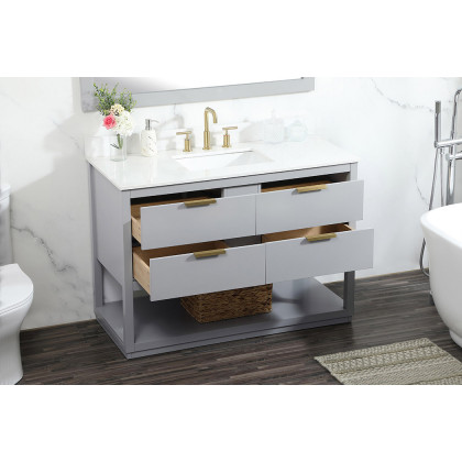 Elegant Bathroom Vanity - Gray (VF19248GR-BS)