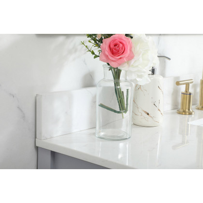 Elegant Bathroom Vanity - Gray (VF19248GR-BS)