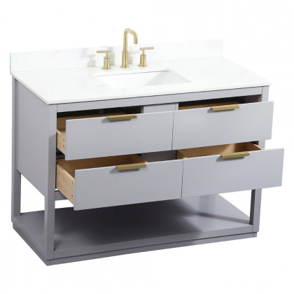 Elegant Bathroom Vanity - Gray (VF19248GR-BS)