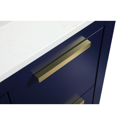 Elegant Bathroom Vanity - Blue (VF19430BL)
