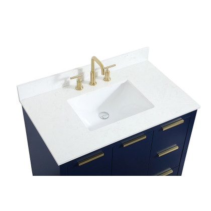 Elegant Bathroom Vanity - Blue (VF19436BL-BS)