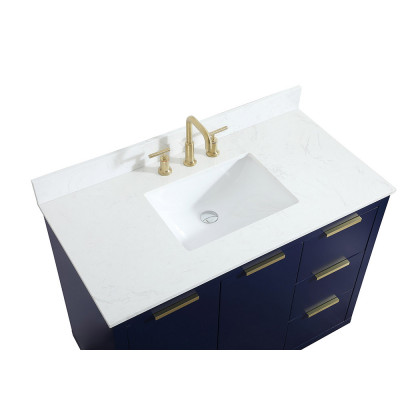 Elegant Bathroom Vanity - Blue (VF19442BL-BS)