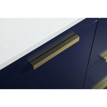 Elegant Bathroom Vanity - Blue (VF19442BL-BS)