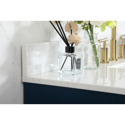 Elegant Bathroom Vanity - Blue (VF19442BL-BS)