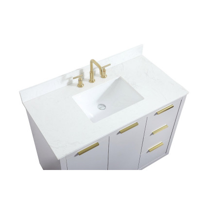 Elegant Bathroom Vanity - Gray (VF19442GR-BS)