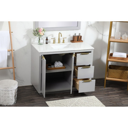 Elegant Bathroom Vanity - Gray (VF19442GR-BS)