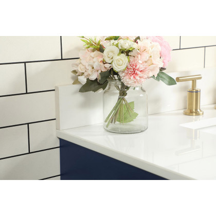 Elegant Bathroom Vanity - Blue (VF48836MBL-BS)