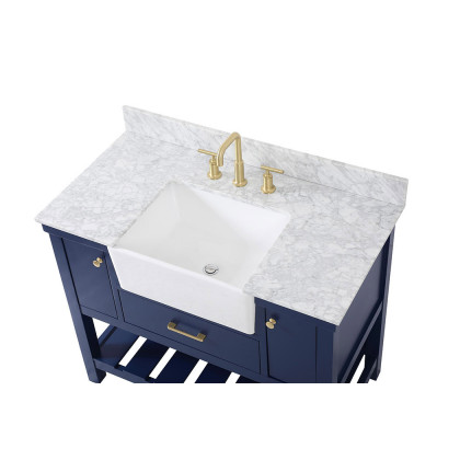 Elegant Bathroom Vanity - Blue (VF60142BL-BS)