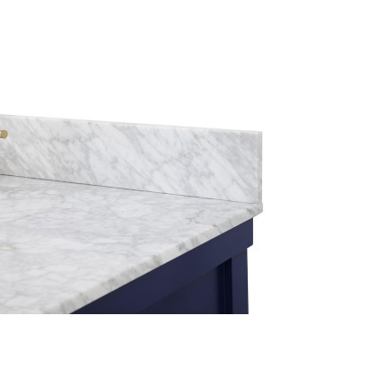 Elegant Bathroom Vanity - Blue (VF60142BL-BS)
