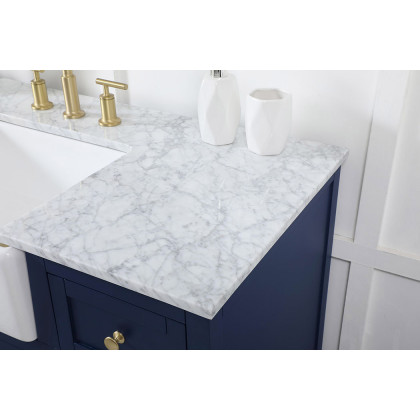 Elegant Bathroom Vanity - Blue (VF60248BL)