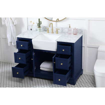 Elegant Bathroom Vanity - Blue (VF60248BL-BS)