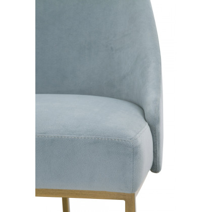 Essentials Traditions Parissa Dining Chair, Set of 2 - Coastal Velvet