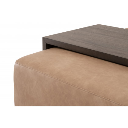 Essentials - Sample Dovetail Upholstered Coffee Table in Ivanhoe Toast, Burnished Brown Acacia