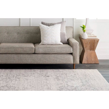 FaFurn - Distressed Oriental Area Rug