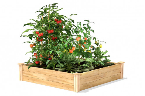 FaFurn™ - 4Ft X 4Ft Outdoor Pine Wood Raised Garden Bed Planter Box