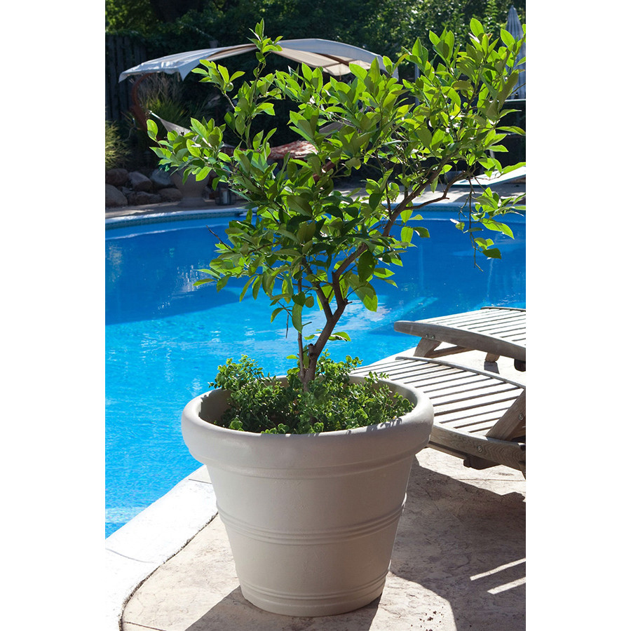 FaFurn 12-Inch Diameter Round Planter - Weathered Concrete