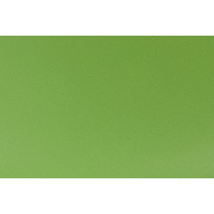 BLNK Elon Series Plastic Chair with Wooden Legs - Green