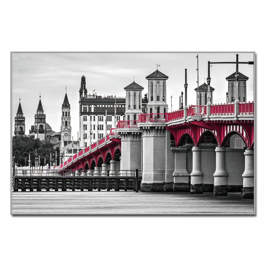 Furnings - "Bridge of Lions" Acrylic Framed Wall Art
