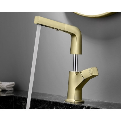HMR Modern Single Hole Bathroom Sink Faucet Dual Function Pull-Out Spray Faucet - Brushed Gold