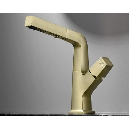 HMR Modern Single Hole Bathroom Sink Faucet Dual Function Pull-Out Spray Faucet - Brushed Gold