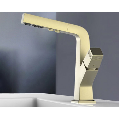 HMR Modern Single Hole Bathroom Sink Faucet Dual Function Pull-Out Spray Faucet - Brushed Gold