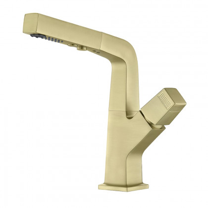 HMR Modern Single Hole Bathroom Sink Faucet Dual Function Pull-Out Spray Faucet - Brushed Gold