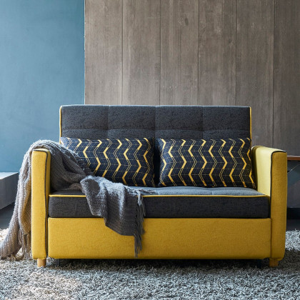 HMR - 2 Seat 55.1"W Convertible Sofa Bed