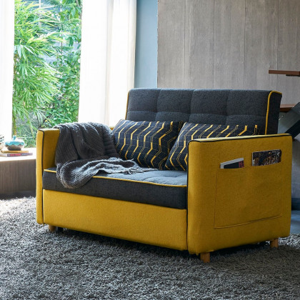HMR - 2 Seat 55.1"W Convertible Sofa Bed