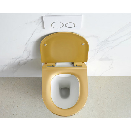 HMR Luxury Wall-Mount Toilet with Rimless Flushing - Gold