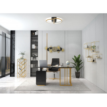 HMR - Modern LED Geometric Flush Mount Light in Gold & Black