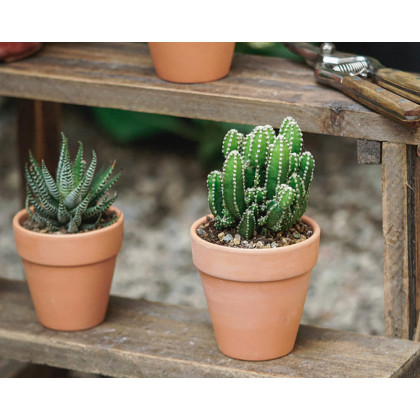 HMR - Wooden 3-Tier Plant Pots Stand for Outdoor in Distressed Brown