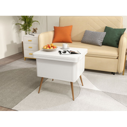 HMR - Modern Multi-functional Coffee Table Extendable with Storage & Lift Top in White