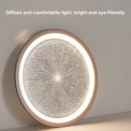 HMR - Creative Silver LED Flush Ceiling Light with Brilliant Firework Dimmable&Remote Control