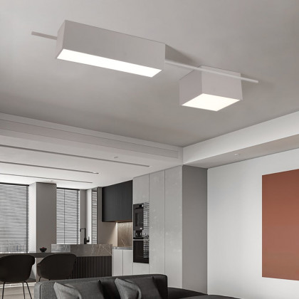 HMR - 2-Light Rectangle Modern Flush Mount LED Ceiling Light with Acrylic in White