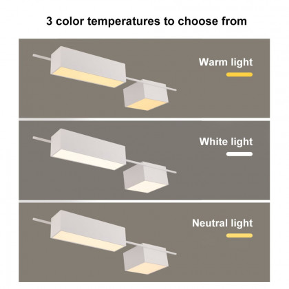 HMR - 2-Light Rectangle Modern Flush Mount LED Ceiling Light with Acrylic in White