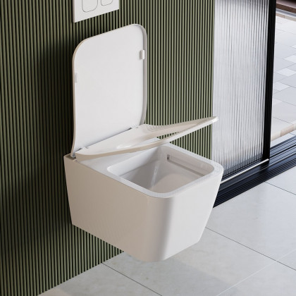HMR - Wall-Hung Toilet with In-Wall Tank and Carrier System in White