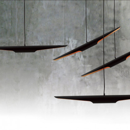 HMR - Modern 2-Light Freely Hanging Single Pendant Light in Black and Gold