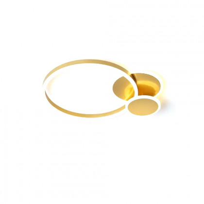 HMR - Flush Mount Light Round LED Light in Gold